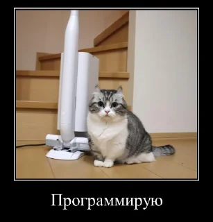 Sticker Komaru Expressions - 1