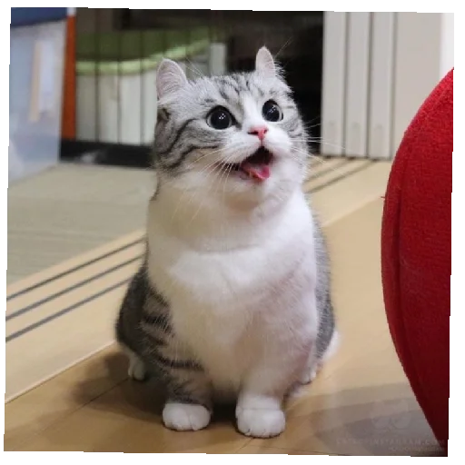 Sticker KomaruGIF - 1