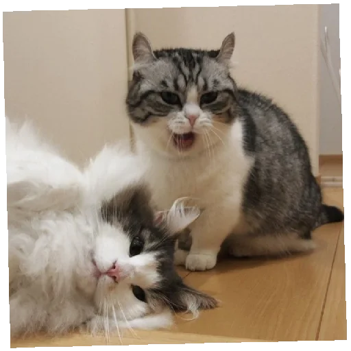 Sticker KomaruGIF - 1