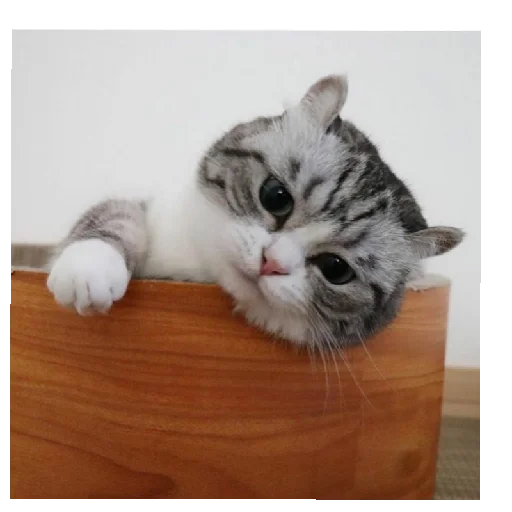 Sticker KomaruGIF - 1