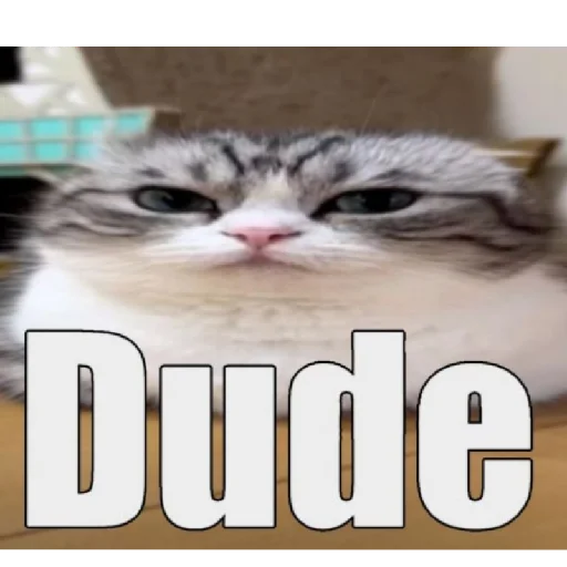 Sticker KomaruGIF - 1