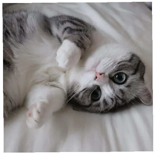 Sticker KomaruGIF - 1