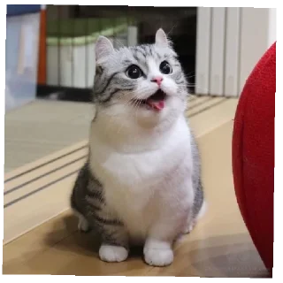 Стикер @komaru_GIF - 11