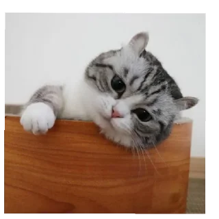 Стикер @komaru_GIF - 8