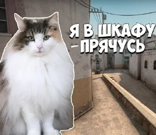 Стикер Komaru Rofls @komaru_GIF - 2