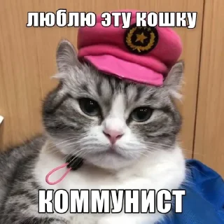 Sticker Набор Комару, Кокоа и Комуги от @OTTIMIC - 4