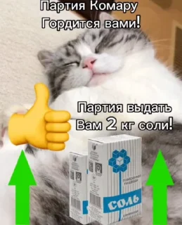 Sticker Набор Комару, Кокоа и Комуги от @OTTIMIC - 3