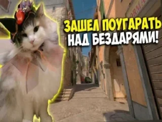 Sticker Набор Комару, Кокоа и Комуги от @OTTIMIC - 1