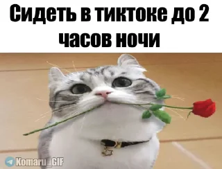 Sticker Набор Комару, Кокоа и Комуги от @OTTIMIC - 7