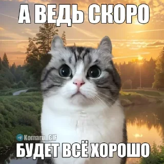 Sticker Набор Комару, Кокоа и Комуги от @OTTIMIC - 2