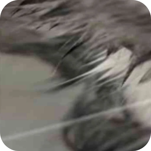 Sticker Komaruuuuuu - 1