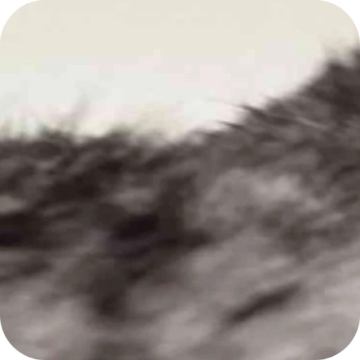 Sticker Komaruuuuuu - 1