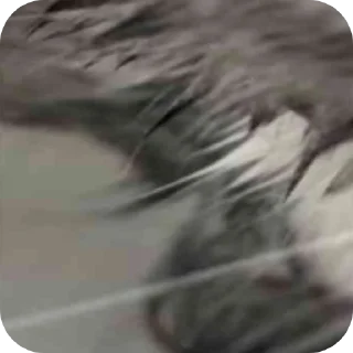 Стикер КОМАРУ @Dupeab - 7