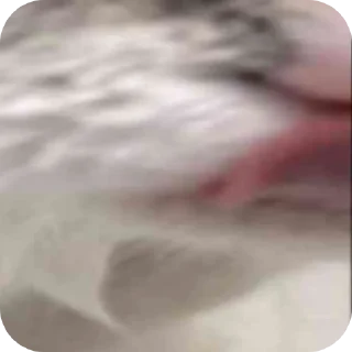 Стикер КОМАРУ @Dupeab - 0