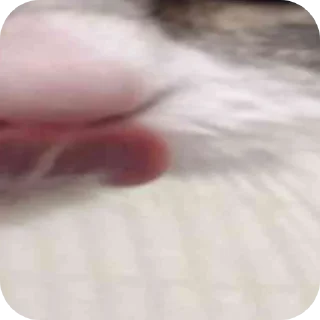 Стикер КОМАРУ @Dupeab - 1