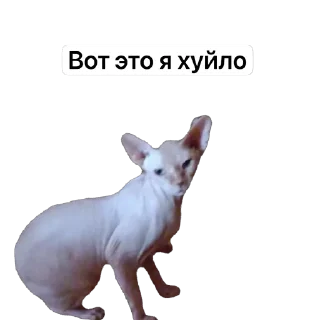 Sticker Компания) - 3