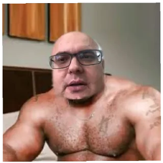 Стикер конча верблюда - 1