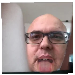 Стикер конча верблюда - 0