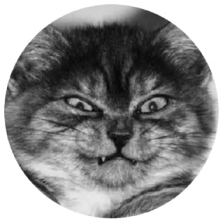 Стикер ЭхоДед - 11