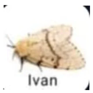 Sticker Контекст? - 6