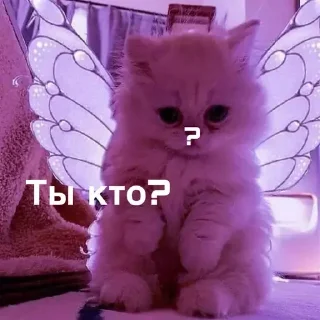 Sticker Kotiki m - 6