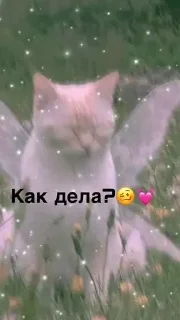 Sticker Kotiki m - 2