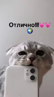 Sticker Kotiki m - 0