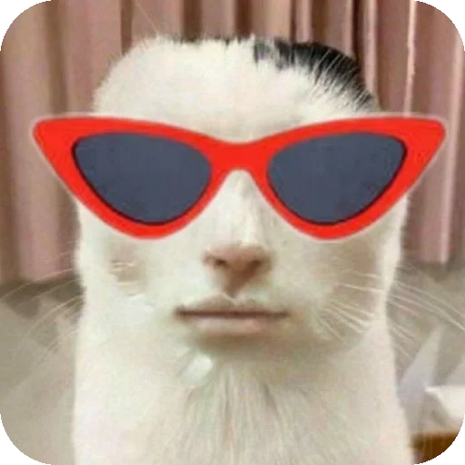 Стикер Kooot37 - 1