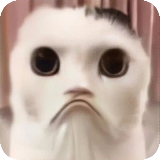 Стикер Kooot37 - 1