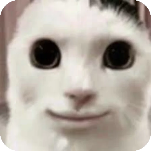 Стикер Kooot37 - 1