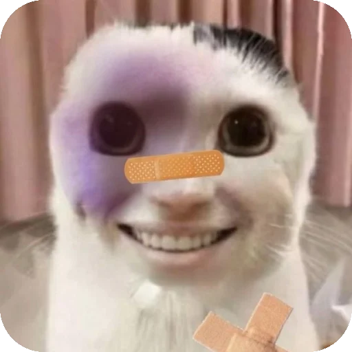 Стикер Kooot37 - 1