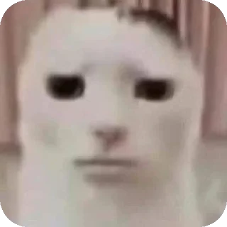 Sticker Кооот - 8