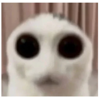 Sticker Кооот - 10