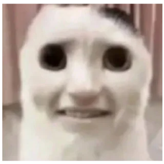 Sticker Кооот - 4