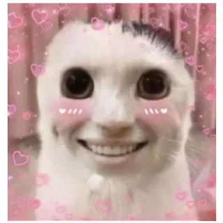 Sticker Кооот - 1