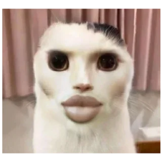 Sticker Кооот - 2