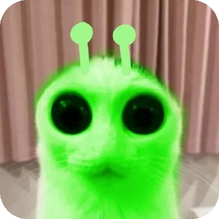 Sticker Кооот - 0