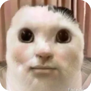 Sticker Кооот - 9