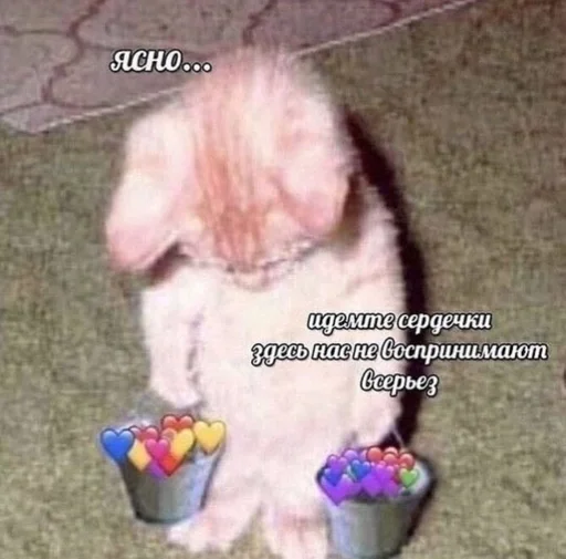 животное млекопитающее СМС