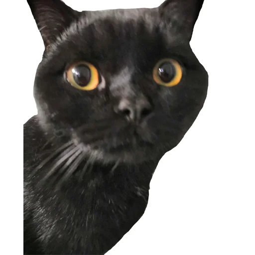 Стикер Копеечка - 0