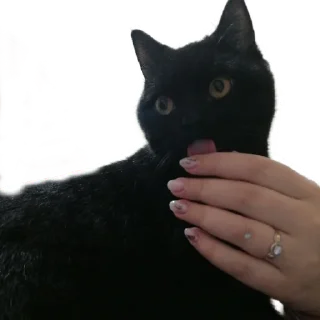 Стикер Копеечка - 3