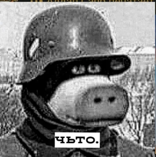 text helmet clothing