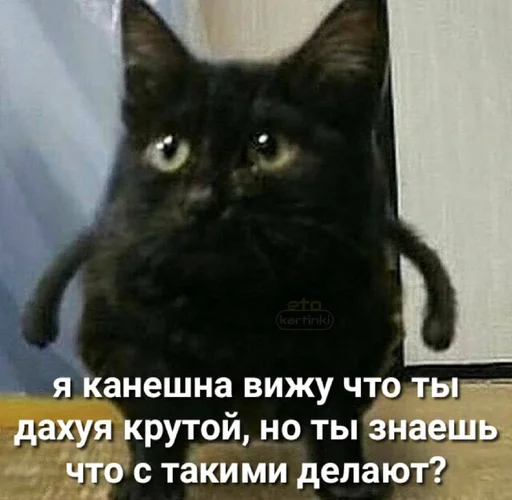 Sticker Секретный чат Корбена - 6