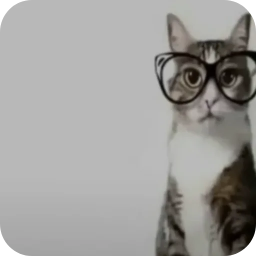 Короче я не в брачный сын кобякова и он мне сделал - 