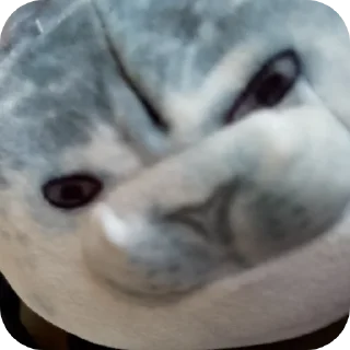 Sticker Короче я не в брачный сын кобякова и он мне сделал - 1