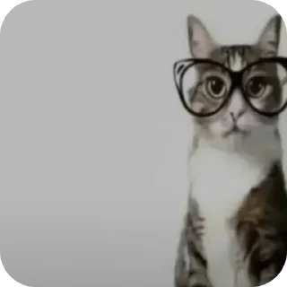 Sticker Короче я не в брачный сын кобякова и он мне сделал - 11