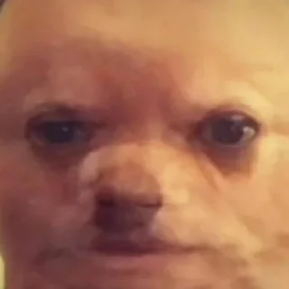 Sticker Шуты мэмэ - @kasparianDepresant - 5