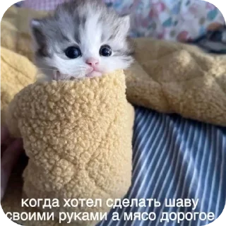 Sticker Кошары - 2