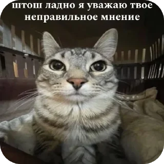 Sticker Кошары - 0