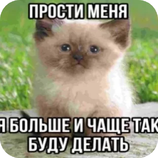 Sticker Кошары - 3